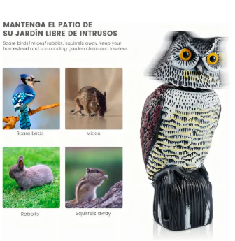 Imagen del producto 2