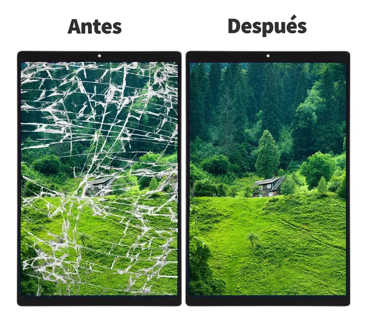 Imagen del producto 4